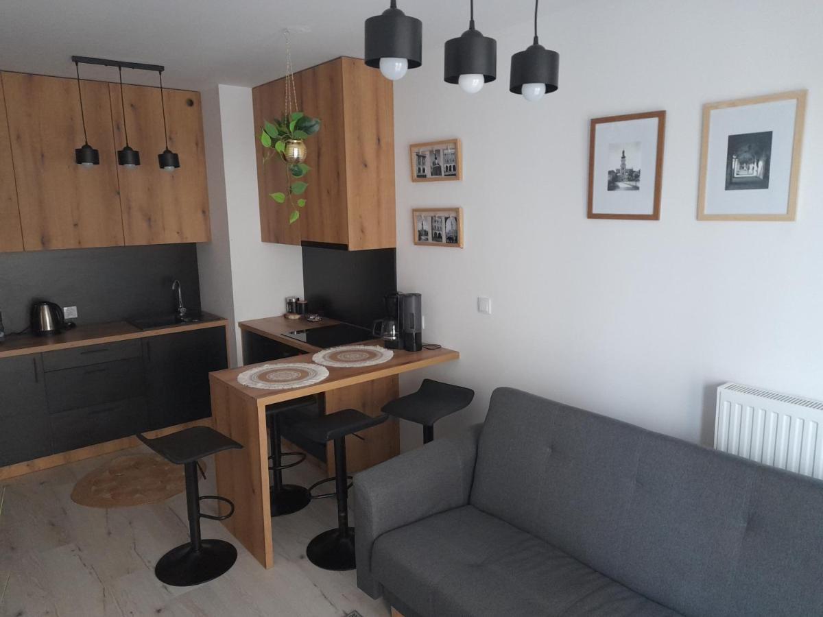 Apartament Amelia Zamość Kültér fotó